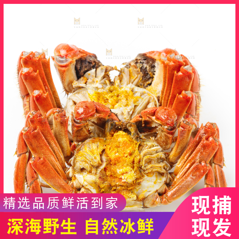手里拿着清蒸螃蟹