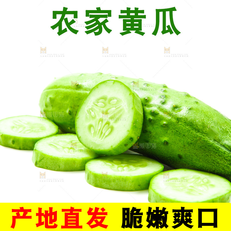 白底上放着旱黄瓜