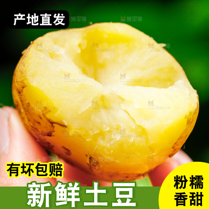 手拿黄心土豆