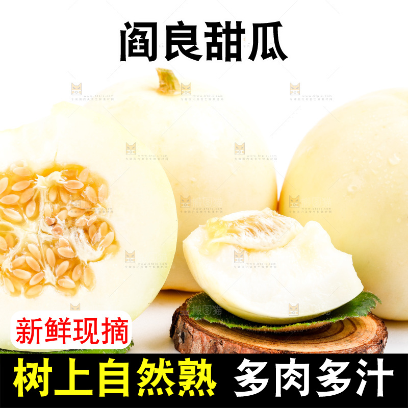 新鲜阎良甜瓜放在白底上