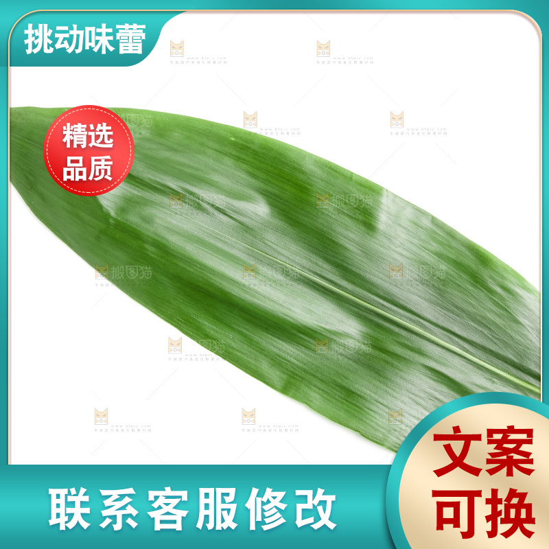 新鲜粽叶放在白底上