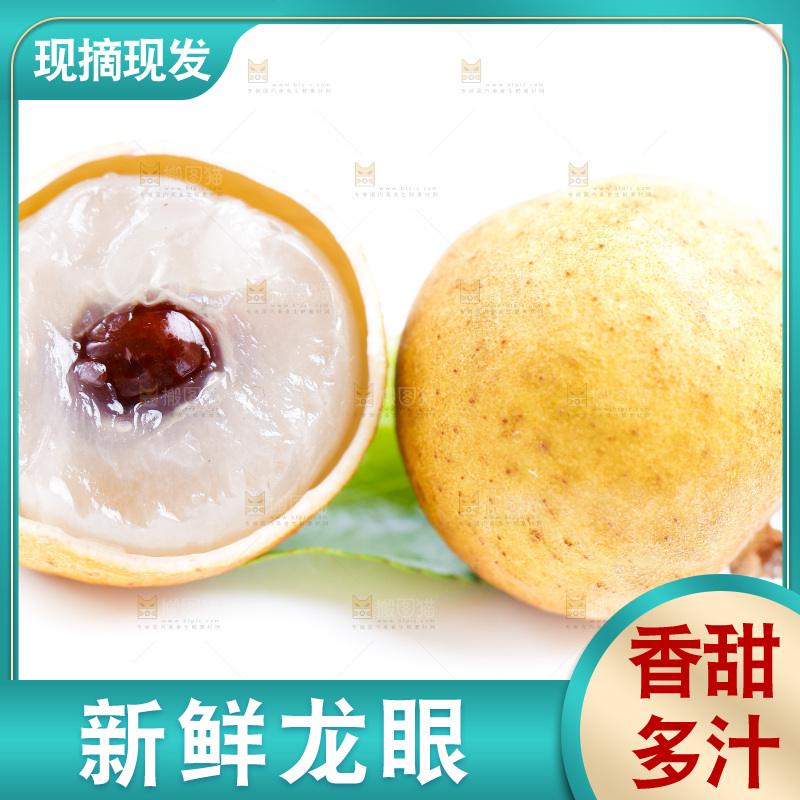 白底上的龙眼