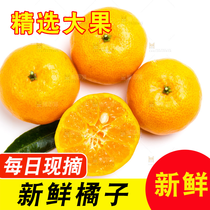 新鲜橘子放在白底上