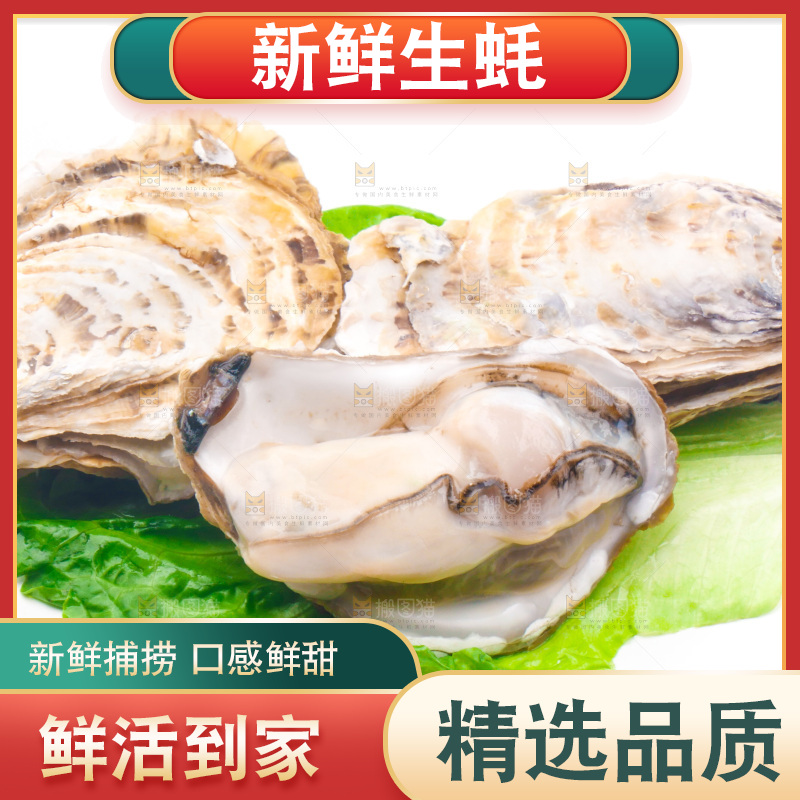 白底上放着乳山生蚝