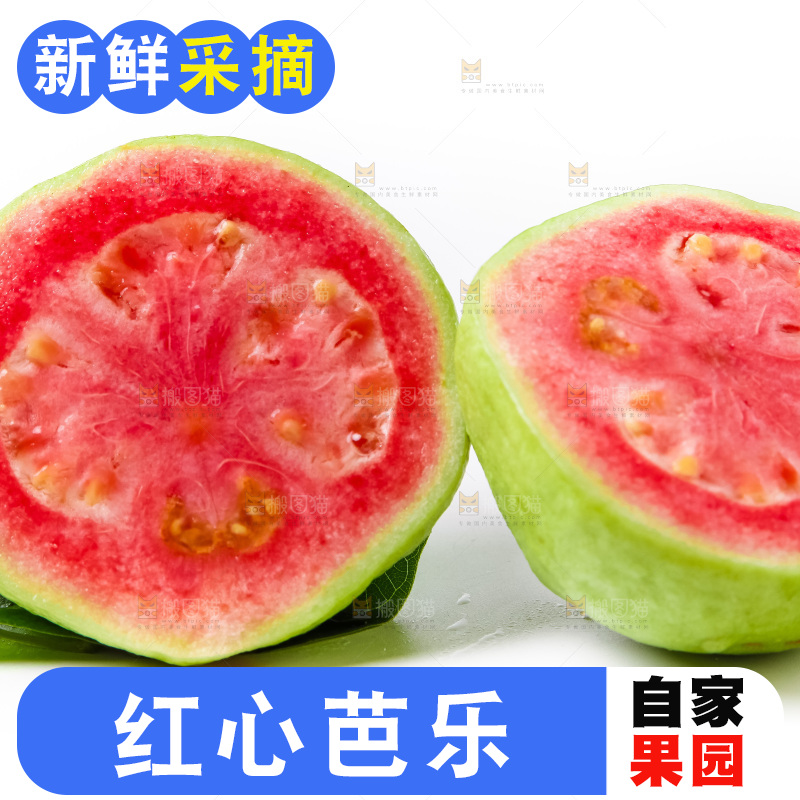 白底上放着红心番石榴