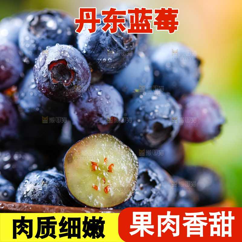 碟子里装着蓝莓