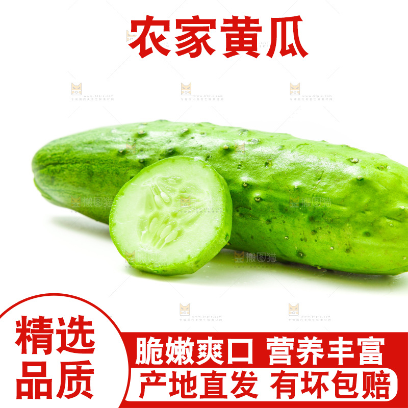 白底上放着旱黄瓜