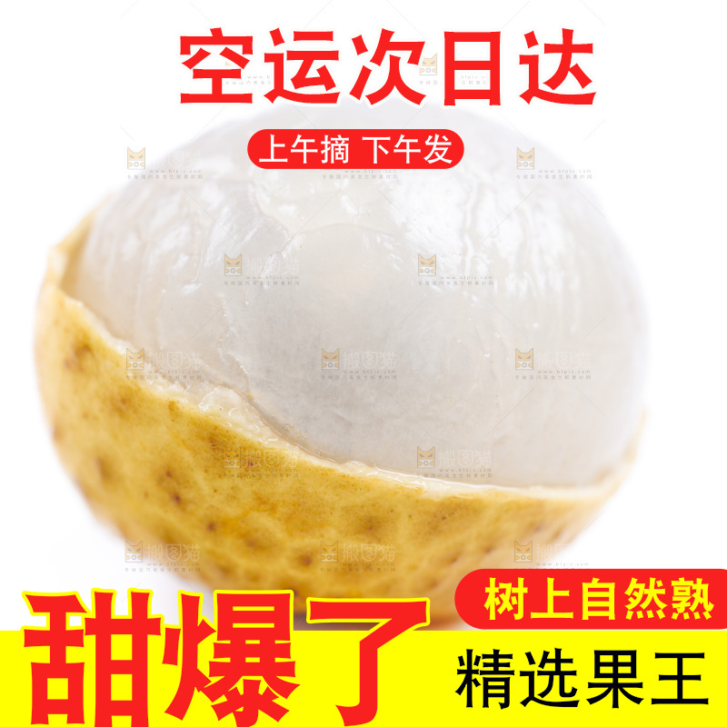新鲜龙眼放在白底上