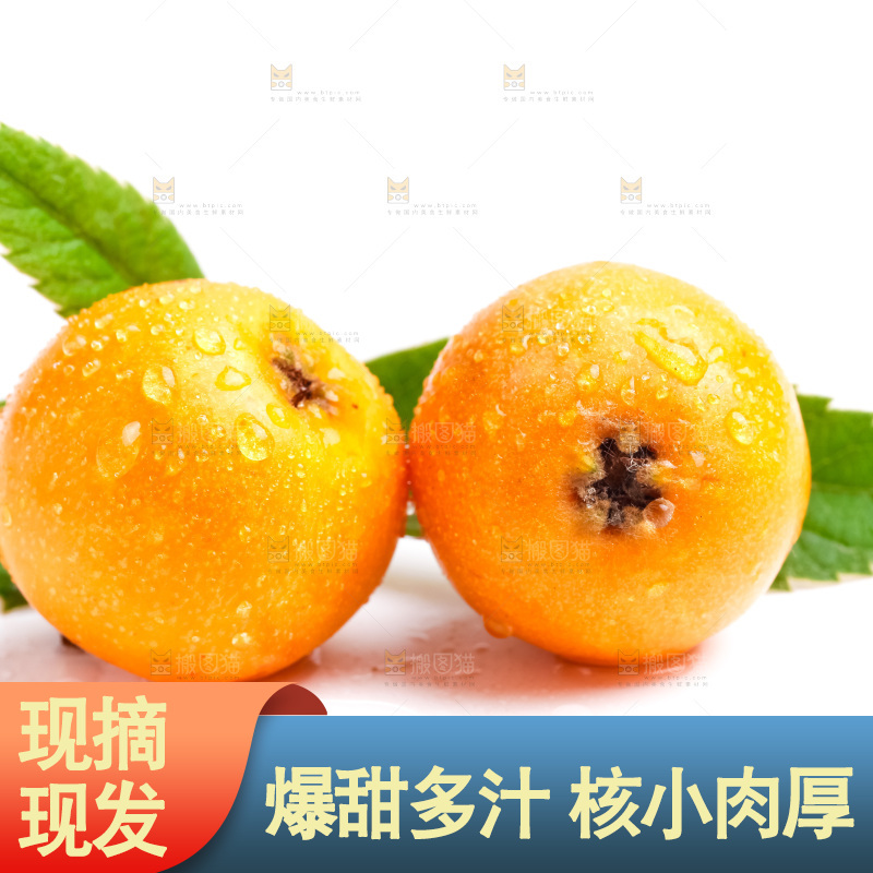 白底上放着新鲜枇杷