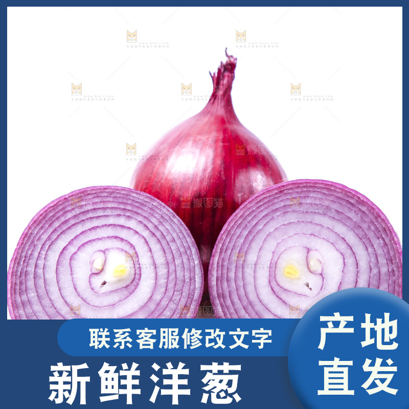 白底上放着洋葱