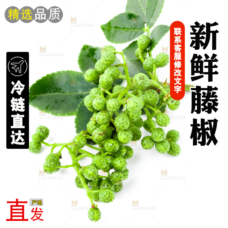 枝叶上的青花椒