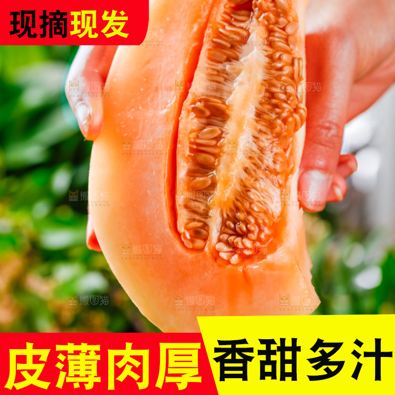 手拿东方蜜瓜切块