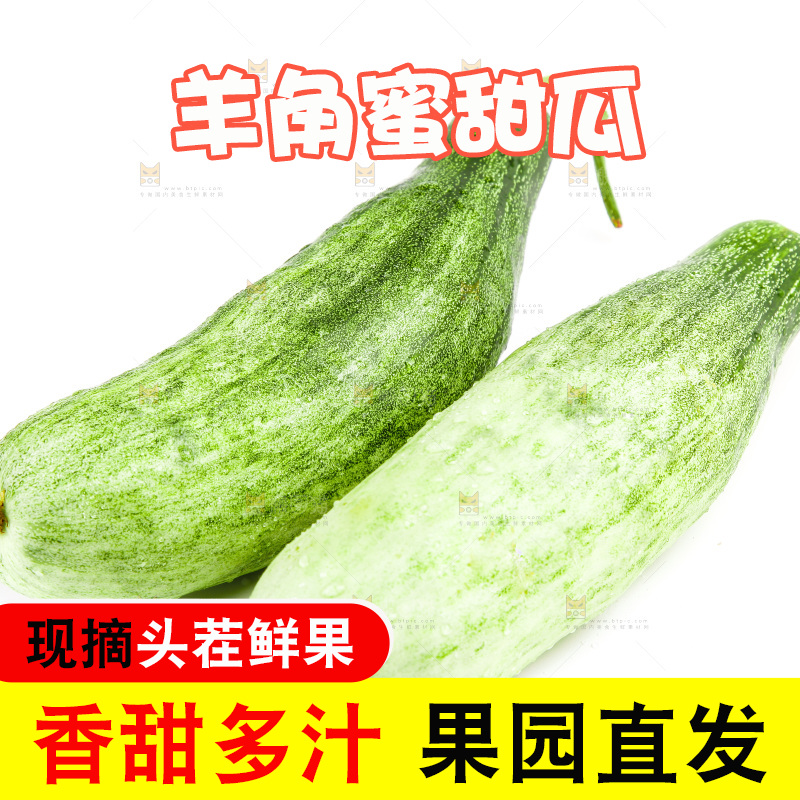 白底上的山东羊角蜜甜瓜