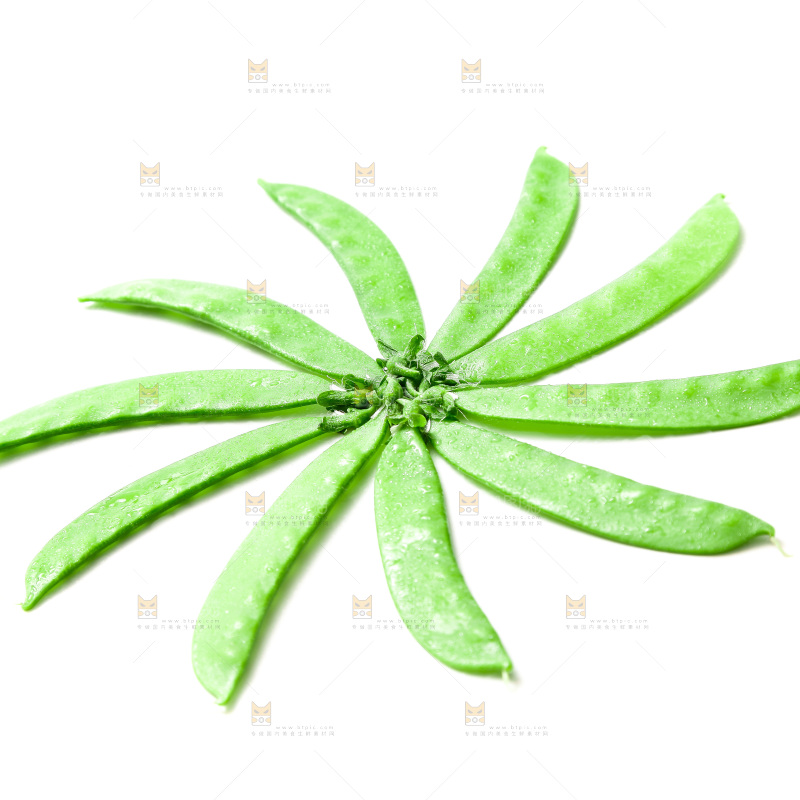 浅底上的荷兰豆