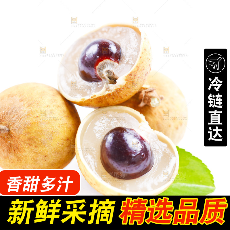 白底上的龙眼