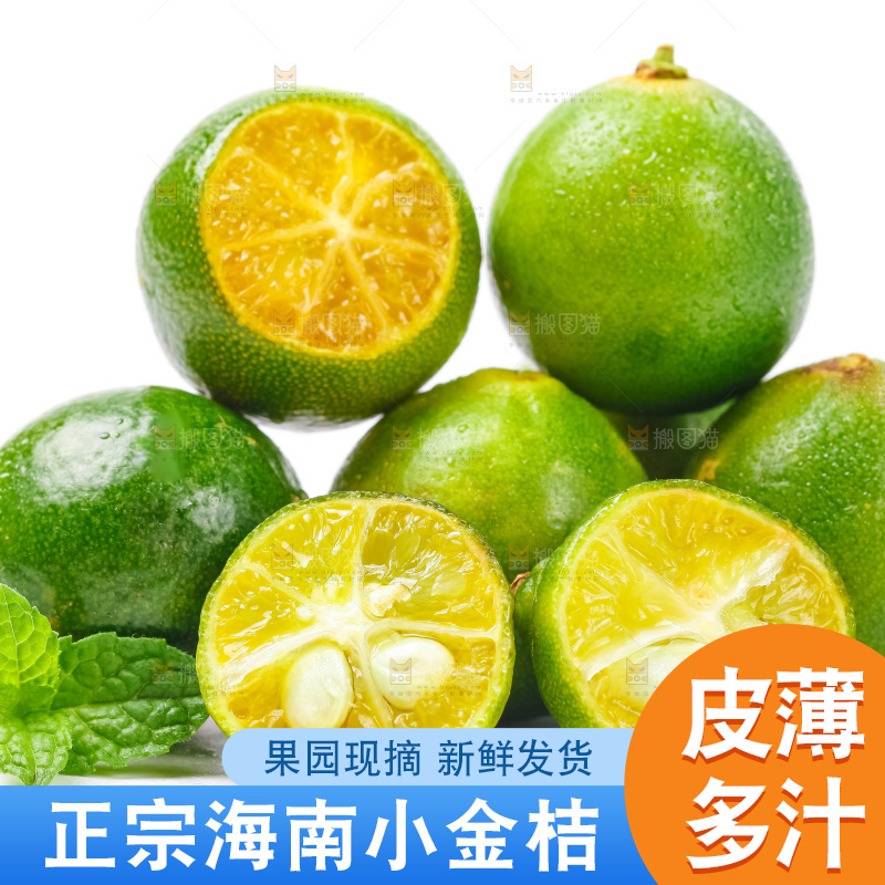 浅底上放着海南小金桔