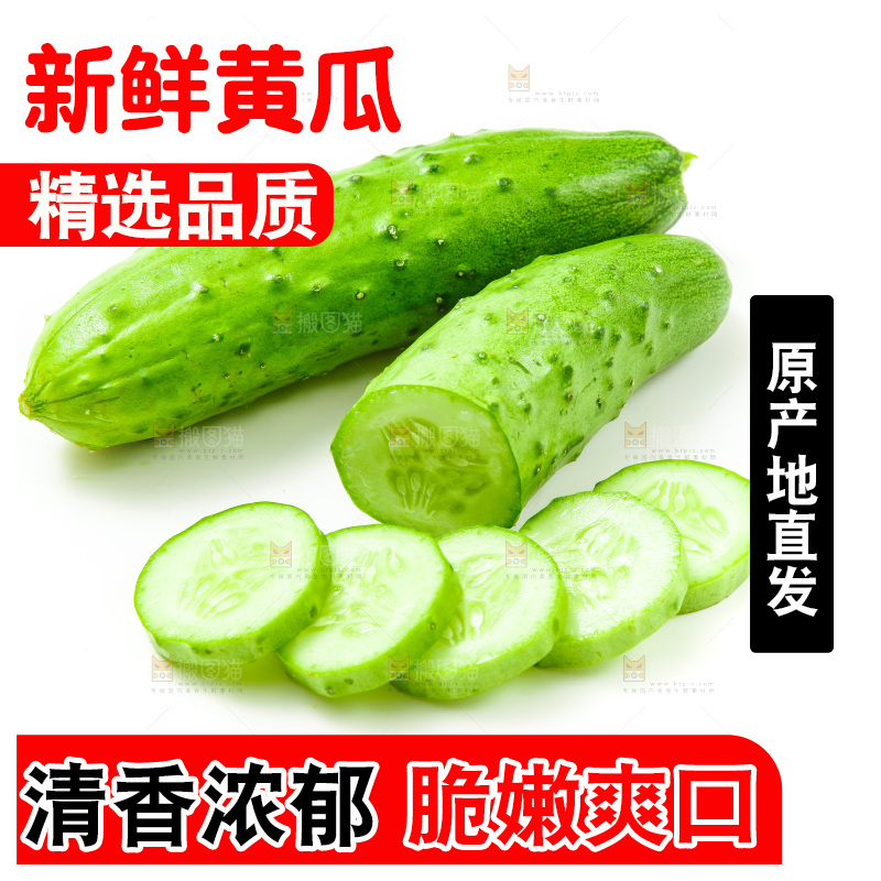 白底上放着旱黄瓜