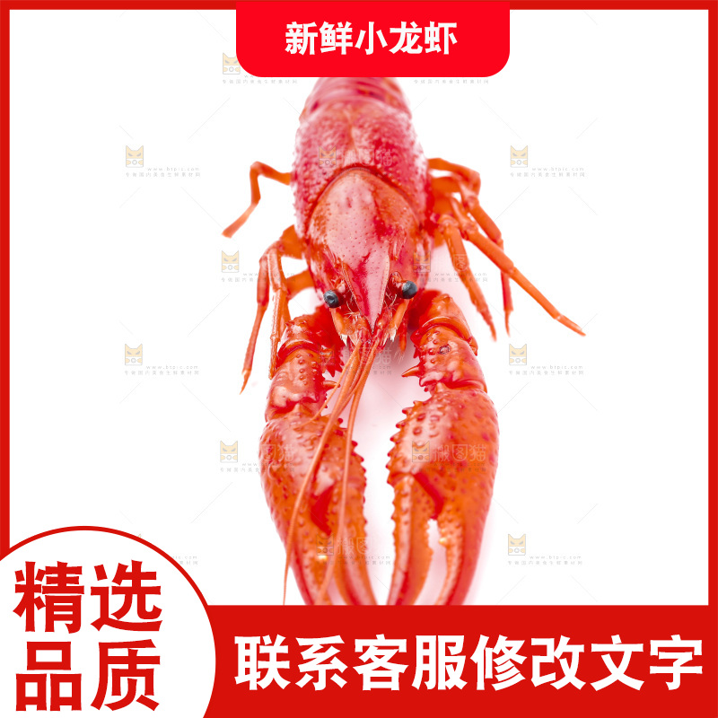 白底上放着秘制小龙虾