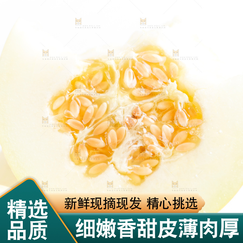 新鲜阎良甜瓜放在白底上