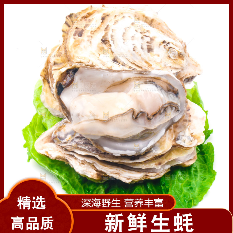 白底上放着乳山生蚝