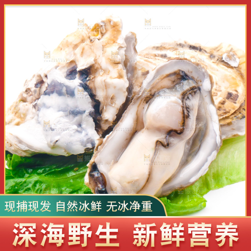 白底上放着乳山生蚝