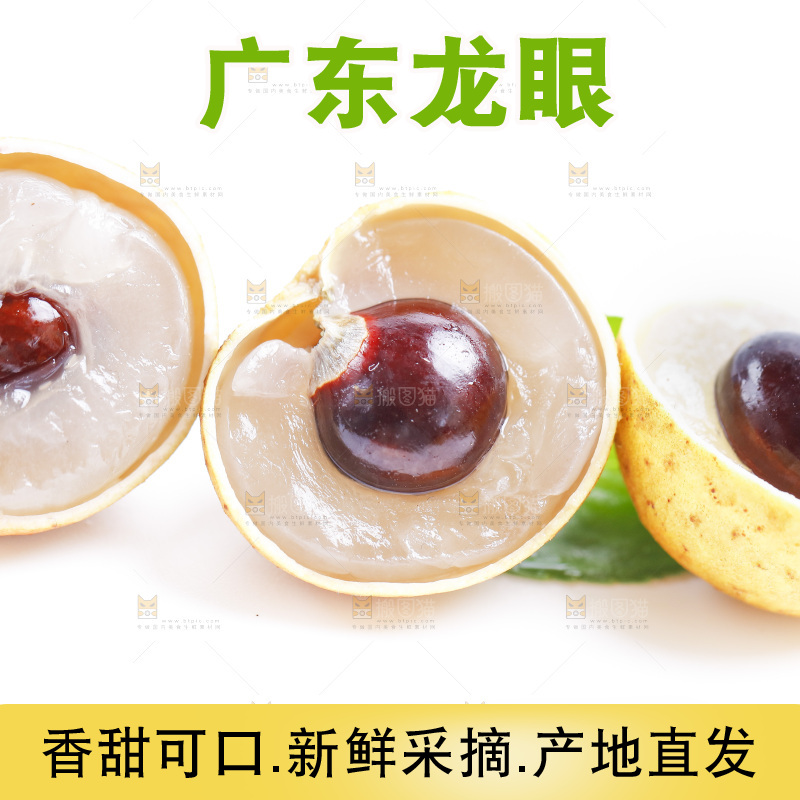 白底上的龙眼