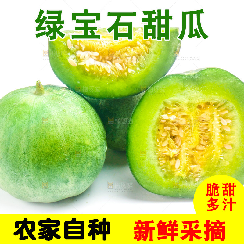 山东绿宝甜瓜放在白底上