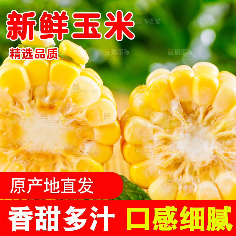 浅底上的水果玉米