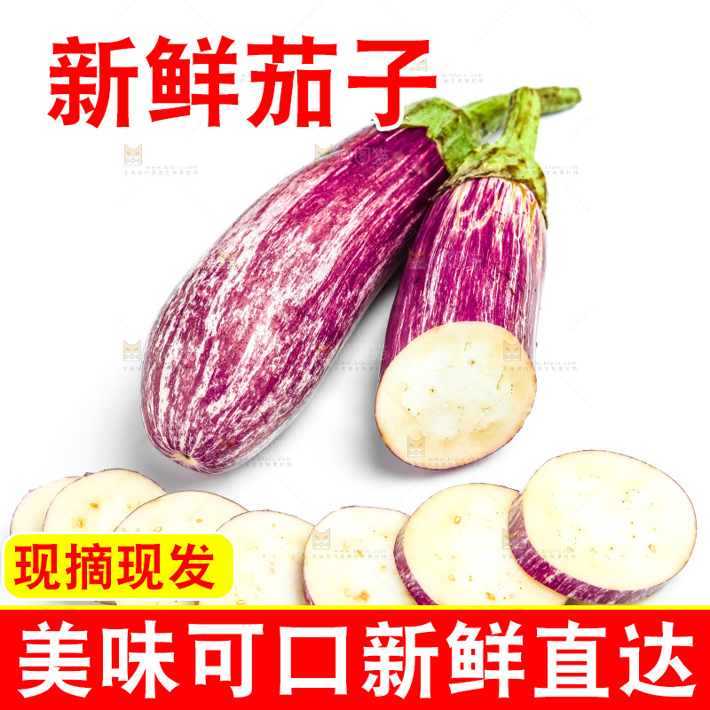 新鲜茄子放在白底上