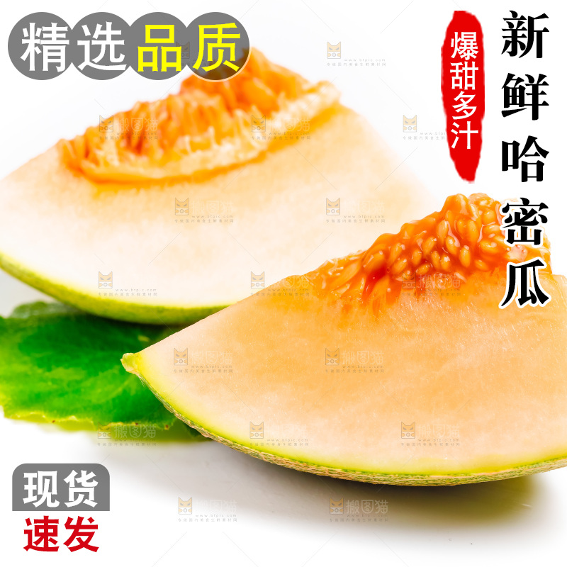 新鲜哈密瓜放在白底上
