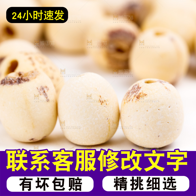 白底上的莲子