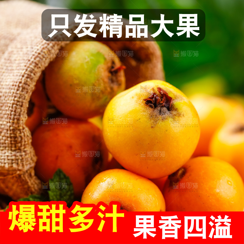 袋子里装着枇杷