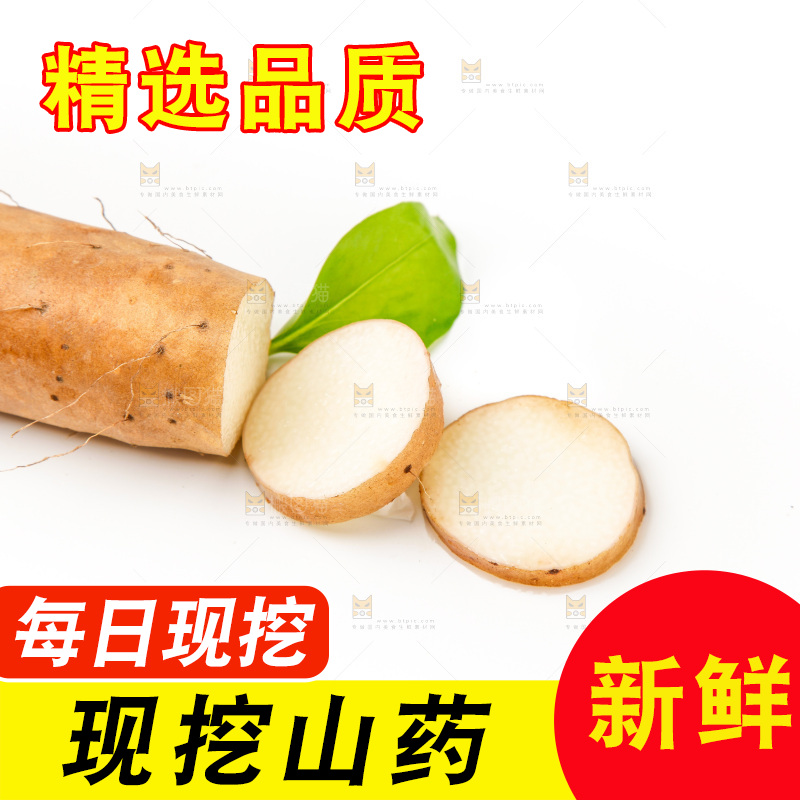浅底上的新鲜山药