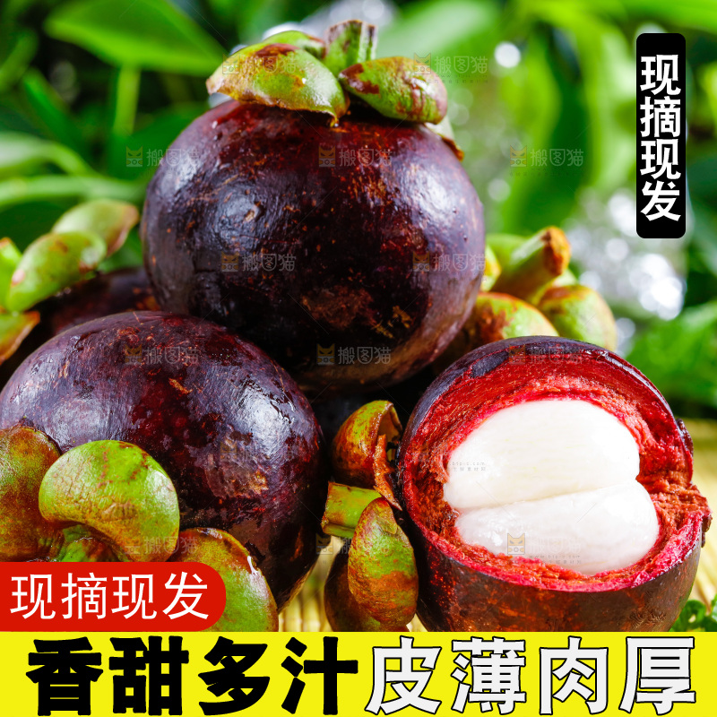 新鲜山竹放在木底上
