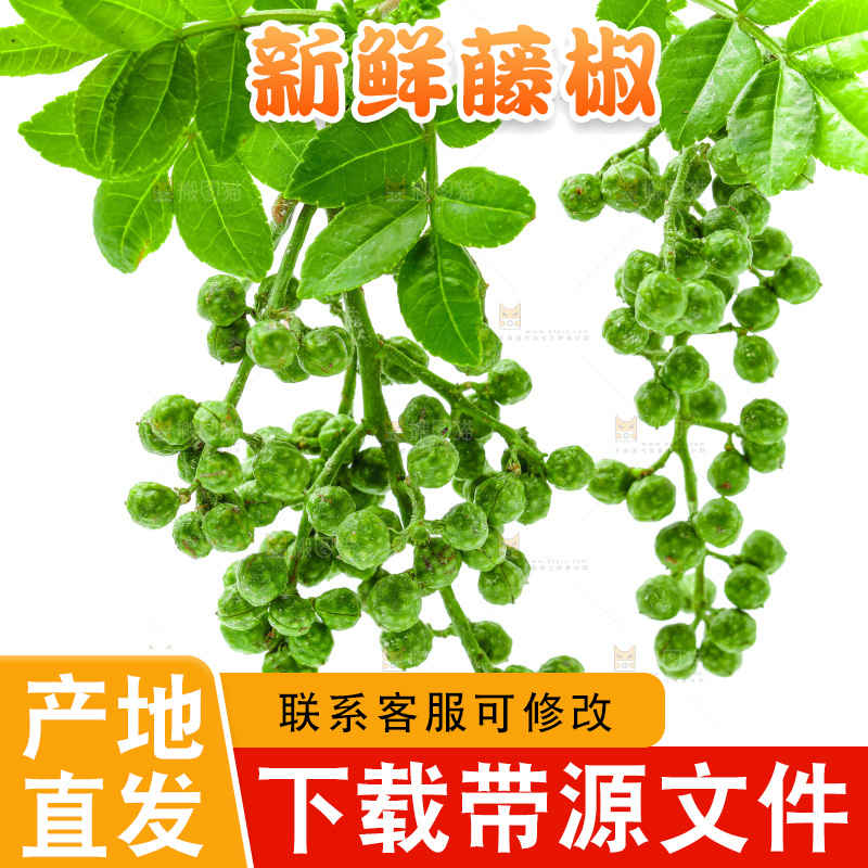 白底上的新鲜藤椒