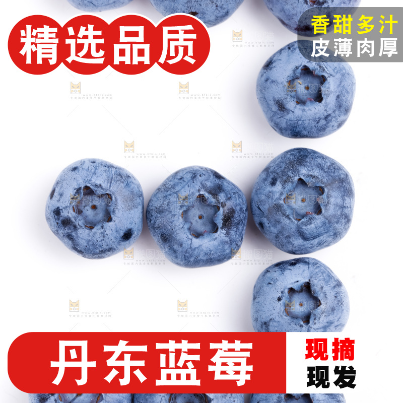 浅底上放着蓝莓果