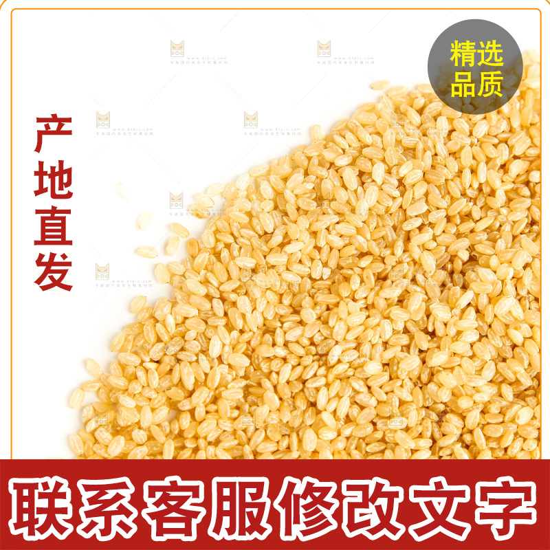 东北糙米放在白底上