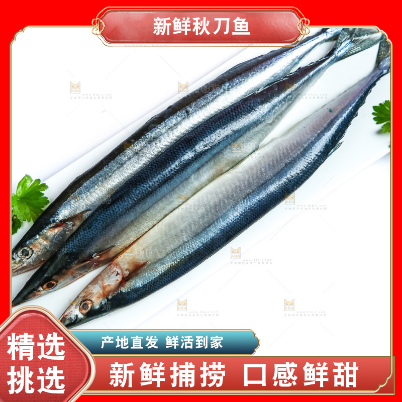 白底上放着一盘秋刀鱼