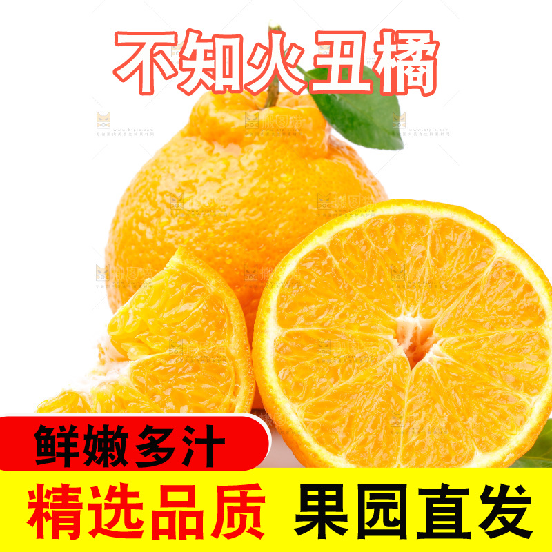 白底上的丑柑