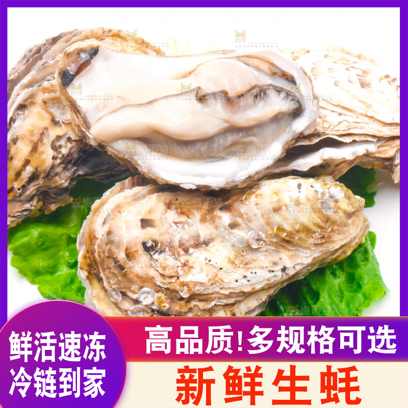 白底上放着乳山生蚝