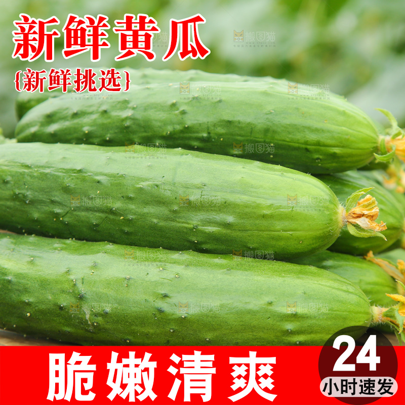桌子上放着一堆黄瓜