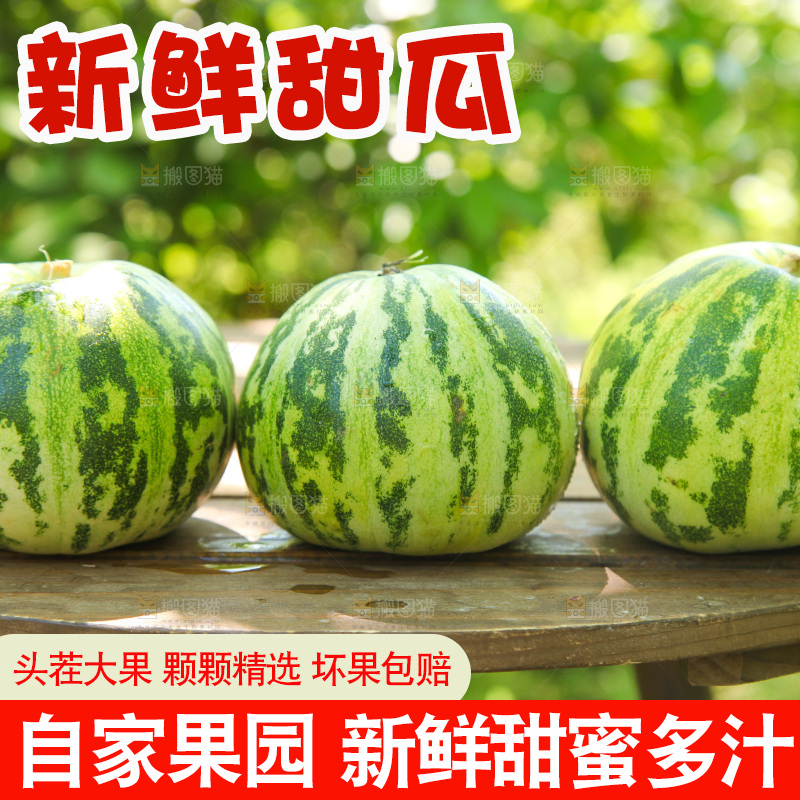 桌子上放着花蕾香瓜