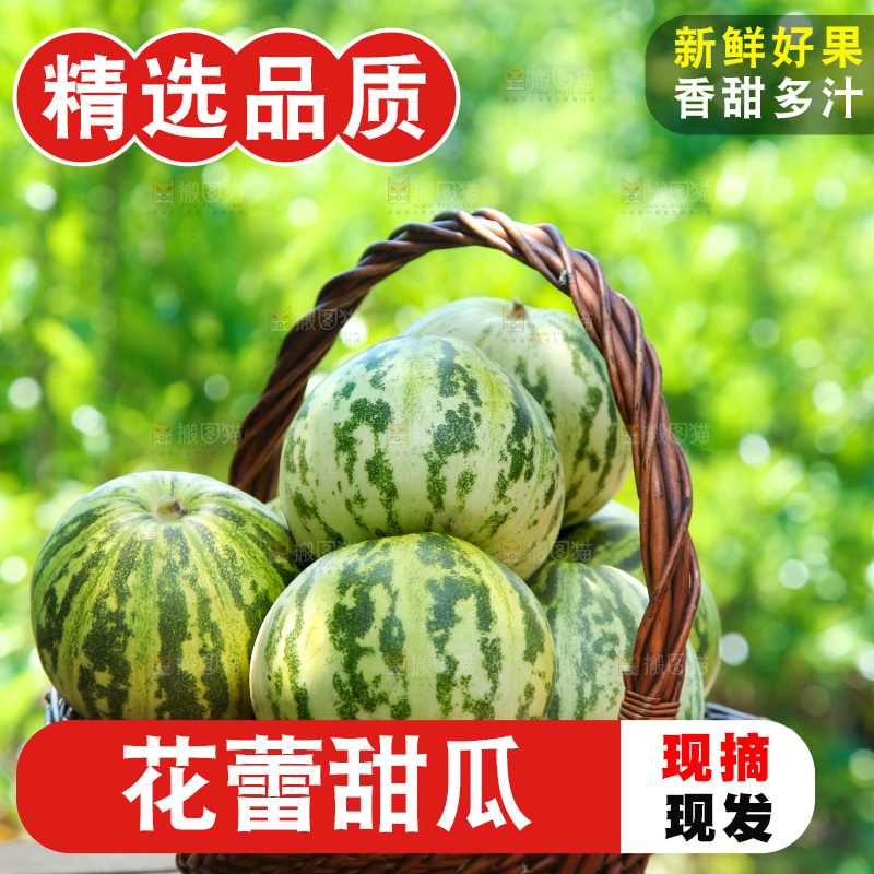 一篮花蕾甜瓜