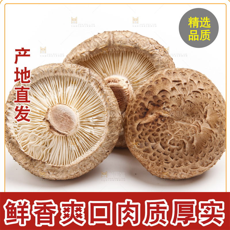 白底上放着花菇