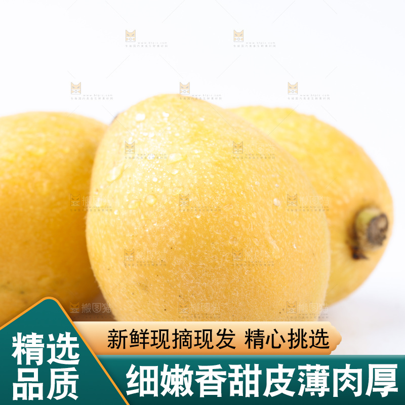 白底上放着新鲜枇杷