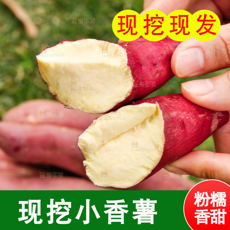 手里拿着小香薯