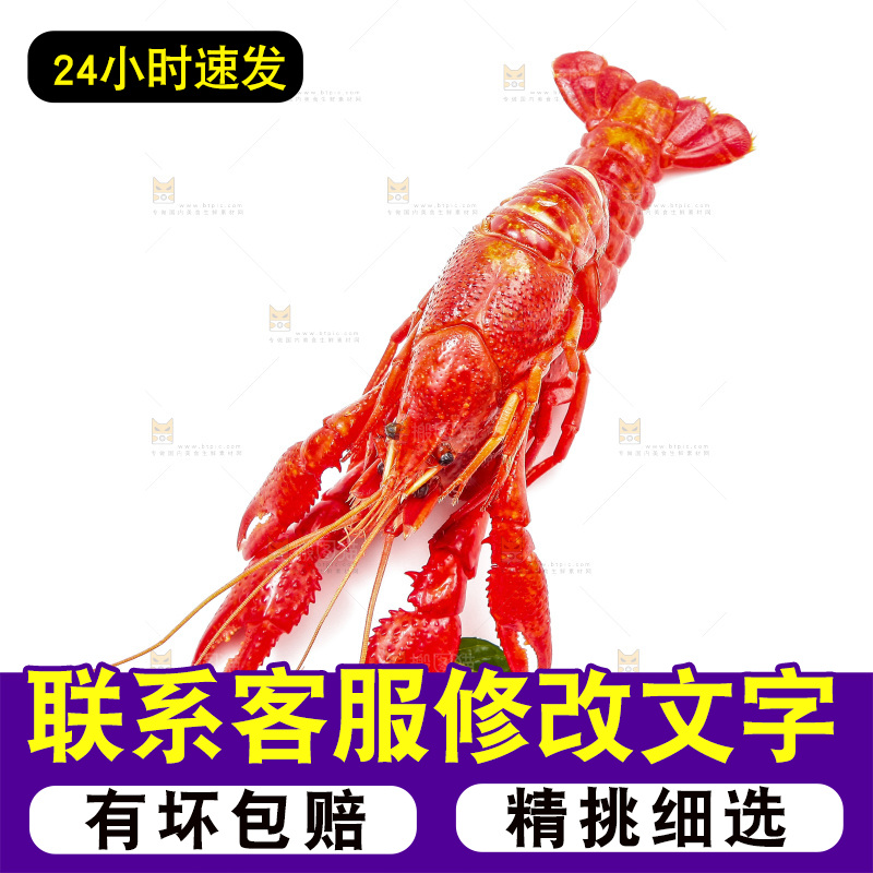 白底上放着清蒸小龙虾
