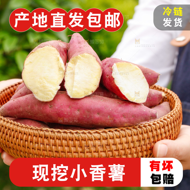 手里端着一篮临安小香薯