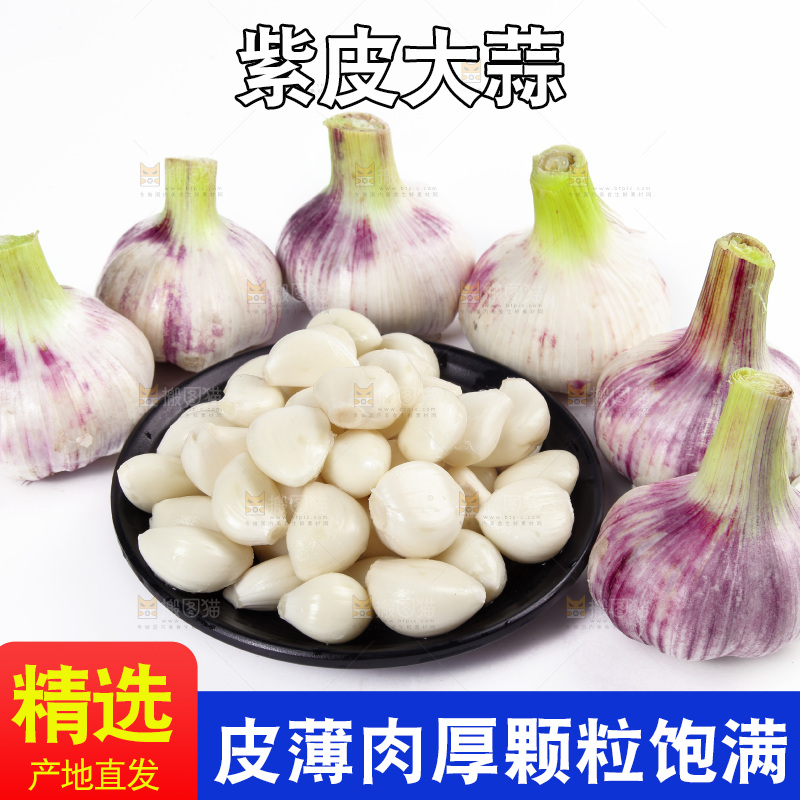 白底上的紫皮大蒜和蒜瓣