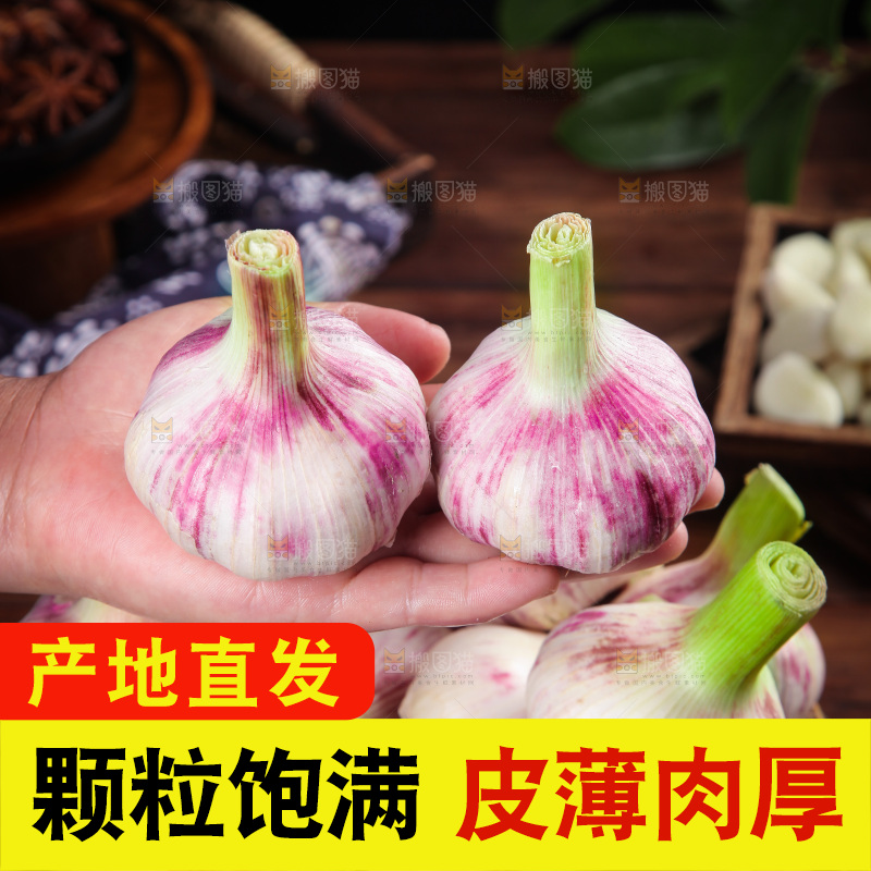 手里拿着大蒜